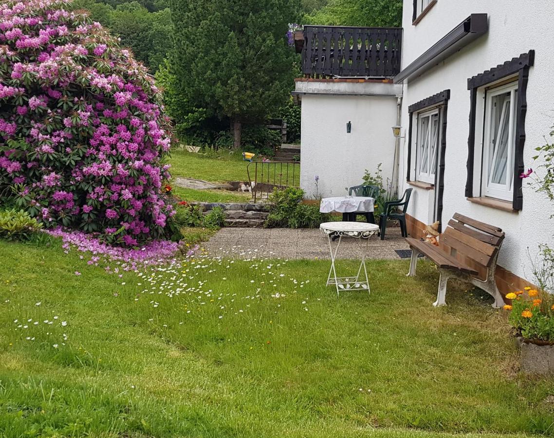Ferienwohnung Eva Grebenhain Eksteriør bilde
